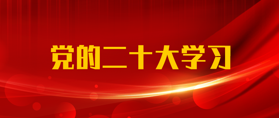 支部建在業務鏈上｜廣西工程咨詢集團第一黨支部赴德保縣餐甲村開展黨建引領鄉村振興主題黨日活動
