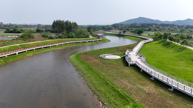 實干當“夏”丨廣西工程咨詢集團扎實開展漓江生態(tài)修復(fù)全咨項目評估驗收